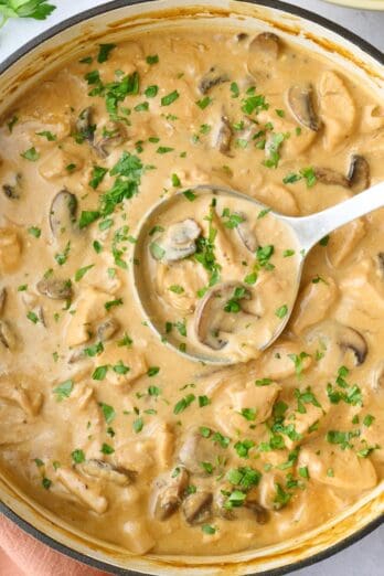 Chicken and mushroom stroganoff recipe.