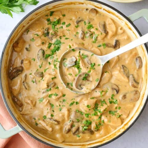 Chicken and mushroom stroganoff recipe.