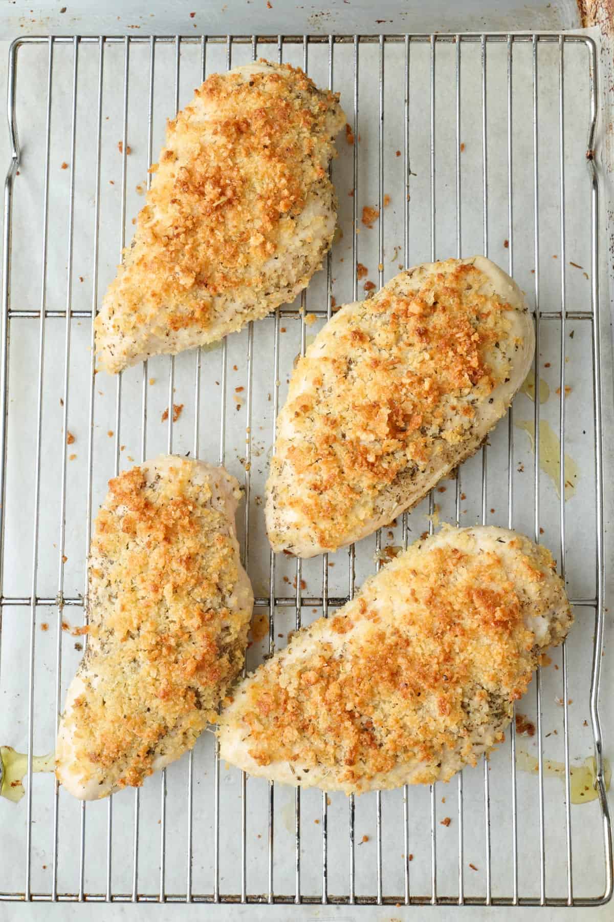 Chicken after baking with a golden parmesan breadcrumb crust.