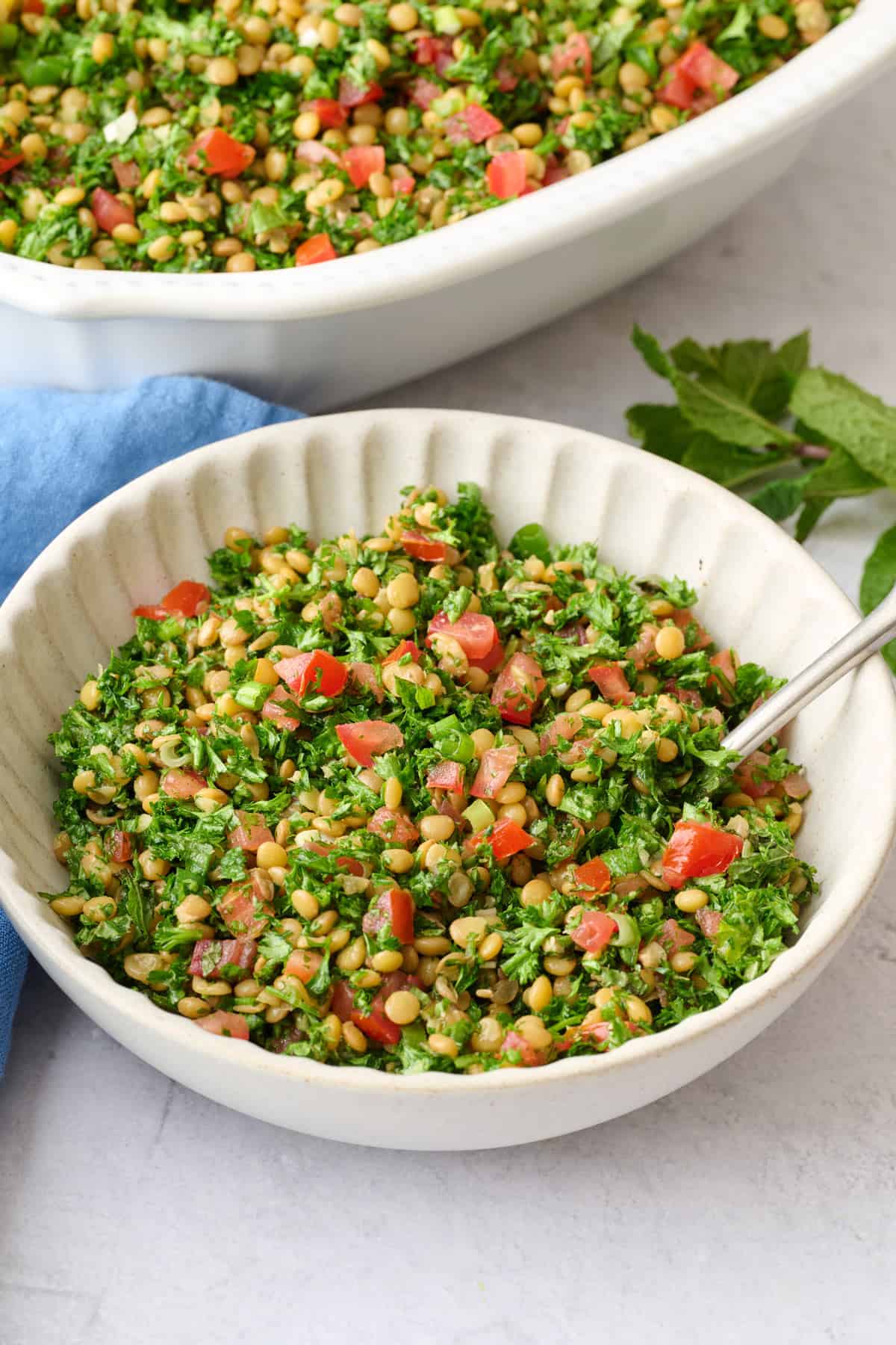 Serving of Middle Eastern lentil tabbouleh salad mad with with parsley, tomatoes, green onions, and mint.