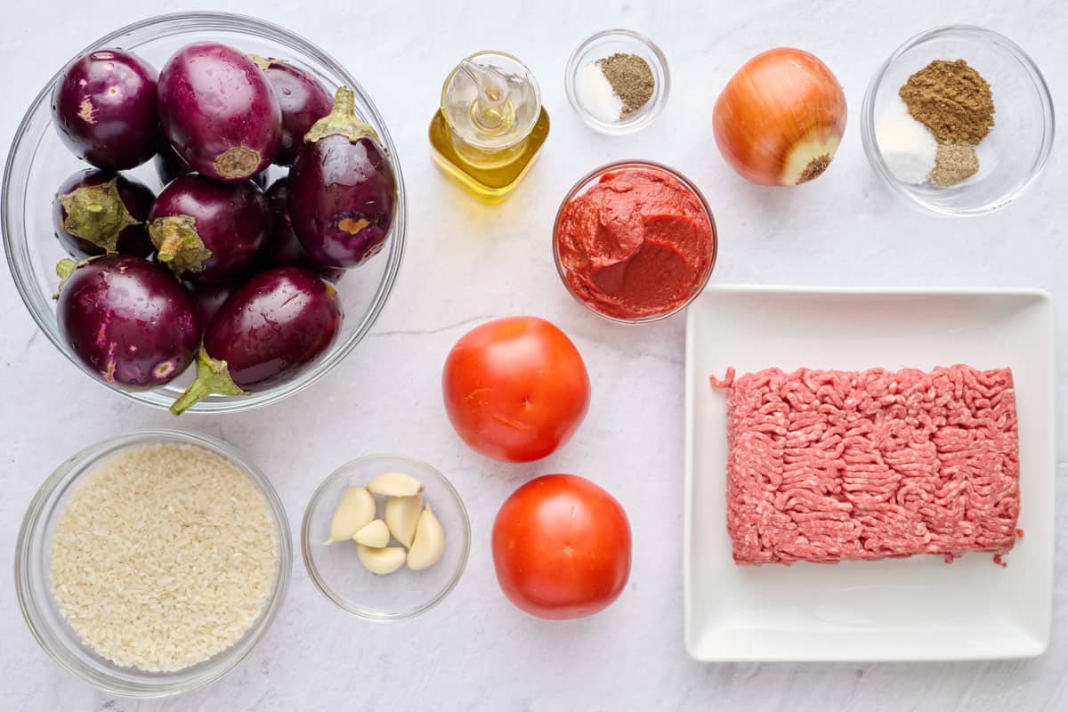 Ingredients for healthy stuffed eggplant recipe: baby eggplants, rice, garlic, tomatoes, tomato paste, oil, seasoning, onion, and ground beef.