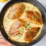 Creamy lemon chicken in skillet with sauce spooned lightly on top of each chicken, garnished with chopped parsley, small dish of lemons nearby.