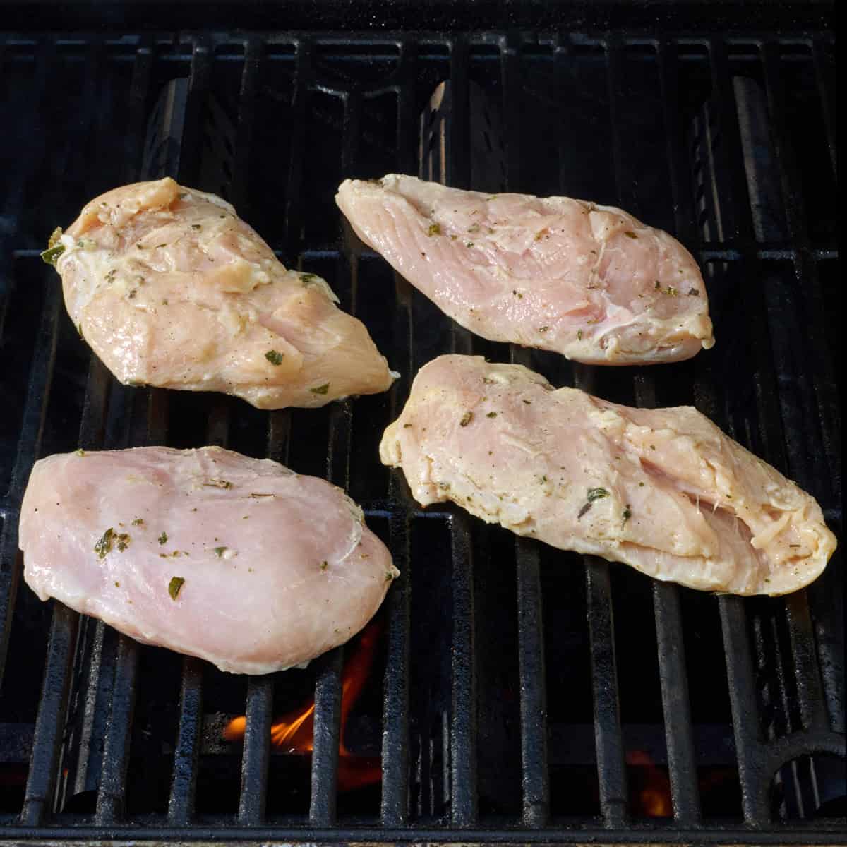 Marinated chicken on an outdoor grill.